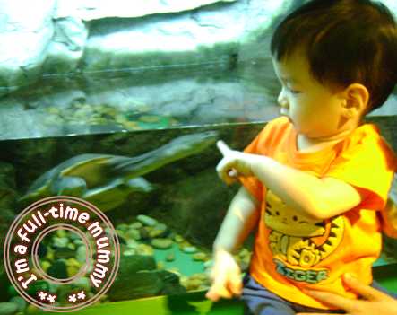 Ben at KLCC Aquaria